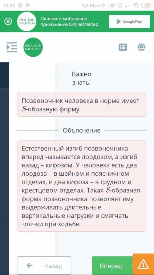 Биомеханические особенности движения человека в связи с прямохождением Вставь пропущенные слова в пр