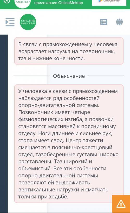 Биомеханические особенности движения человека в связи с прямохождением Выбери верные утверждения об