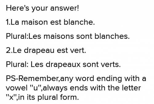 4. Le drapeau est vert. plural​