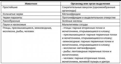 «Органоиды и органы выделения у животных» Животное Органоид или орган выделения Простейшие Кольчатые