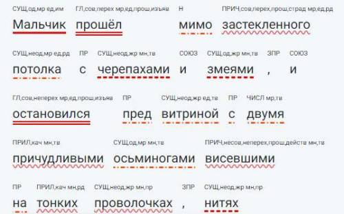 Синтаксический разбор предложения: Мальчик мимо застекленный полок с черепахами и змеями, и останови