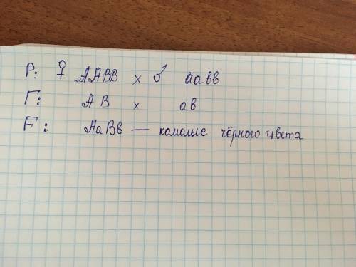 У крупного рогатого скота ген комолости доминирует над геном рогатости, а ген черного цвета- над кра