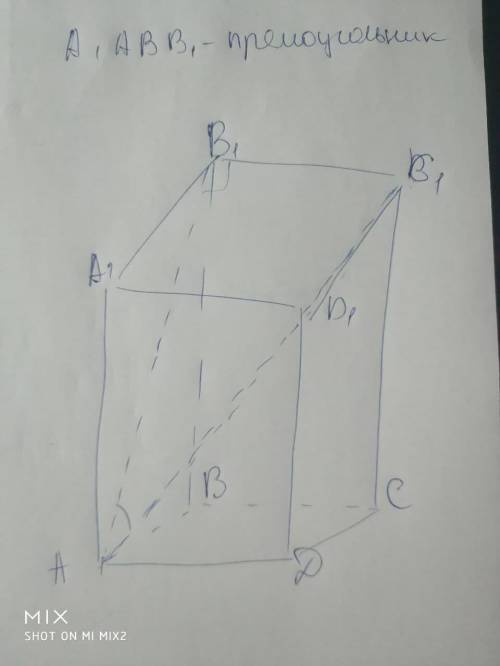 В прямоугольном параллелепипеде АВСDA1B1C1D1 известно что AB1=AD=2AA1. Найдите косинус угла между пр