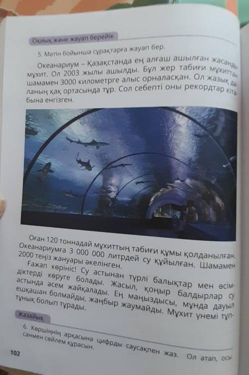 1.Океанариум деген не? Что такое океанариум? 2. Бұл океанариум неге рекордтар кітабына енді? 3. «Дум