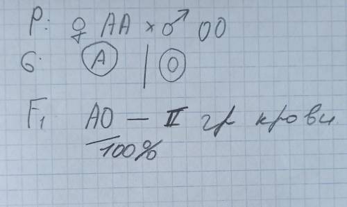 решить задачу на наследование группа крови 1)у матери 2 гомозиготная группа крови, а у отца 1 группа