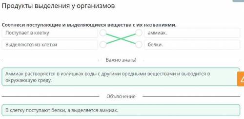 Продукты выделения у организмов Соотнеси поступающие и выделяющиеся вещества с их названиями.Поступа