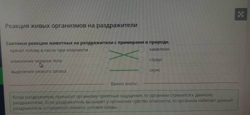 Реакция живых организмов на раздражители Соотнеси реакции животных на раздражители с примерами в при
