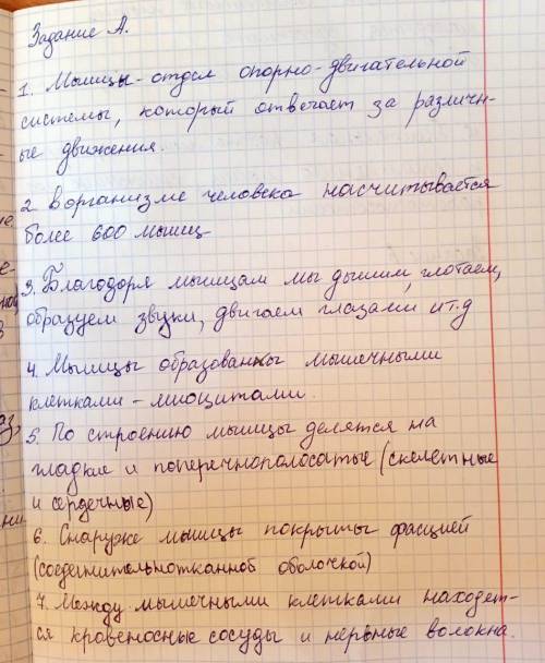 А. Вставьте пропущенные слова или продолжите предложения по смыслу. Мышцы - отдел , который отвечает