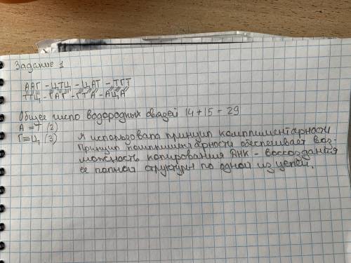 Задание 1. Фрагмент одной цепи ДНК имеет последовательность А-А-Г-Ц-Т-Ц-Ц-А-Т-Т-Г-Т. Определите нукл