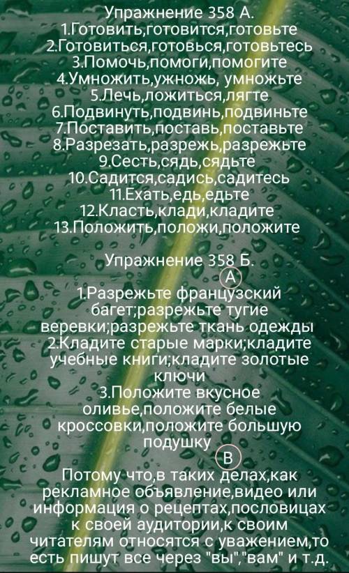 358Б. Составьте словосочетания с выделенными глаголами в пове лительном наклонении. Почему глаголы в