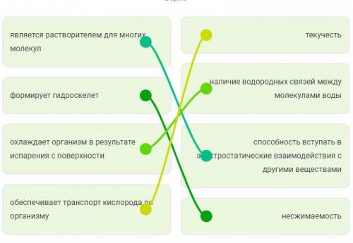 Соотнесите функции воды в живых организмах с физико-химическими свойствами воды, которые обеспечиваю