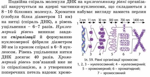 с заданием к илюстрации