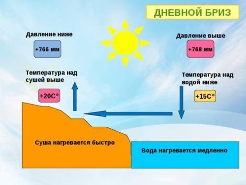 На схеме дневного бриза где давление выше?​