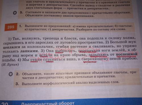 Только 3 и 4 Надо ещё подчеркнуть деепричастие, причастие, глаголы И т.д