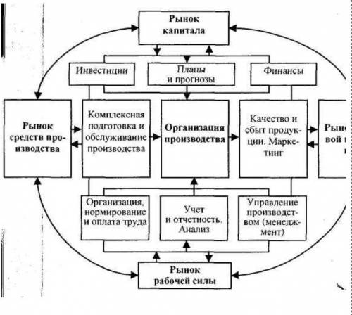 Составьте карту ума на тему производственные процессы