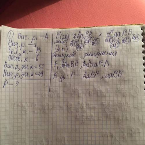 1) У запашного горошку високий зріст (A) домінує надкарликовим (а); зеленезабарвлення бобів (В) - на