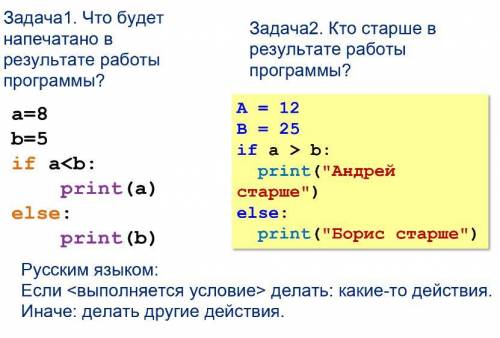 Напишите программу в Пайтон, используя алгоритм ветвления. ( можно использовать полное инеполное вет