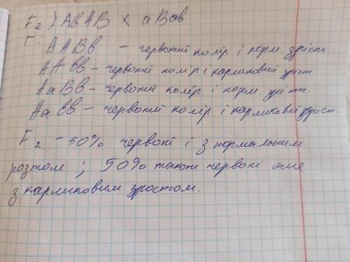 (Дигібридне схрещування) Які ознаки будуть мати гібридні томати F1 одержані в результаті запилення ч