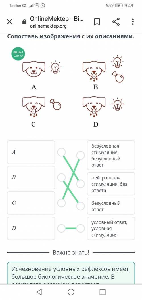 Рефлекторная природа поведения: условные и безусловные рефлексы. Угасание условных рефлексовСопостав