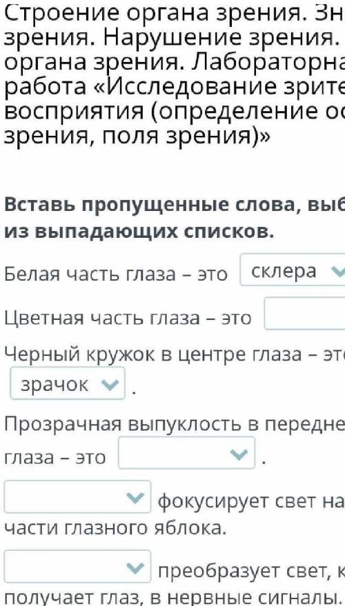 СТРОЕНИЕ ОРГАНА ЗРЕНИЯ. ЗНАЧЕНИЕ ЗРЕНИЯ. НАРУШЕНИЕ ЗРЕНИЯ. ГИГИЕНА ОРГАНА ЗРЕНИЯ. ЛАБОРАТОРНАЯ РАБОТ