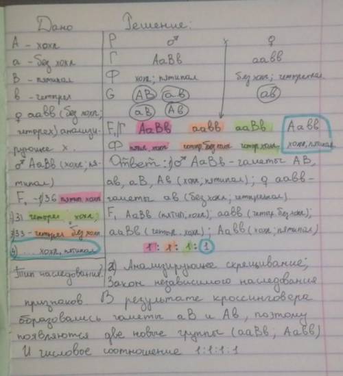 Для визначення генотипу чубатих п’ятипалих курей їх схрещували з чотирипалими півнями без чубів (ана