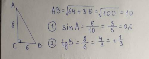 В треугольнике АВС <C = 90°AC = 8 см, ВС = 6 см. Найдите:1)sinA; 2)tgB.​