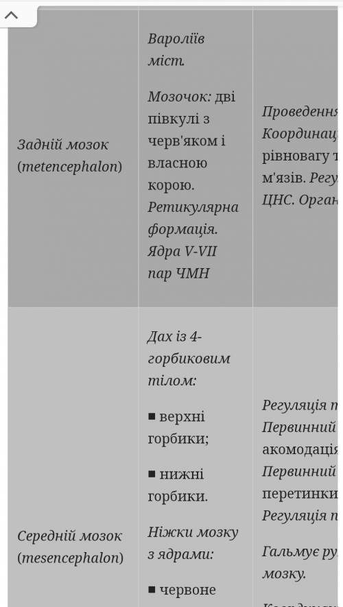 визначте залежність будови окремих структур головного мозку від виконуваних функцій ​