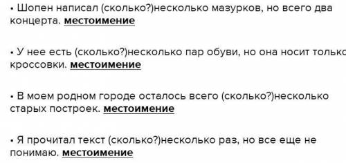 В каждом предложении слово несколько чем является? где местоимением, а где прилагательныи. Была позд