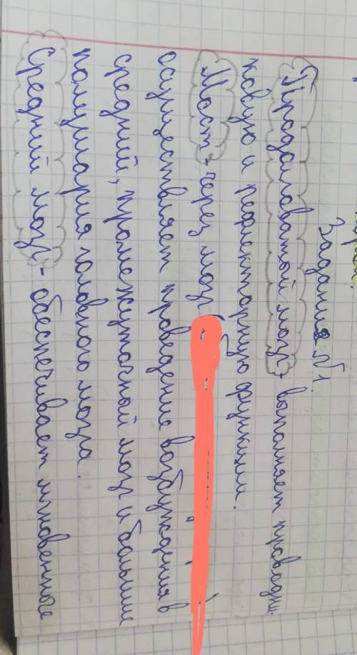 Обсудите в классе и заполните в тетради таблицу “Функции ствола головно- го мозга.Отделы ствола гол