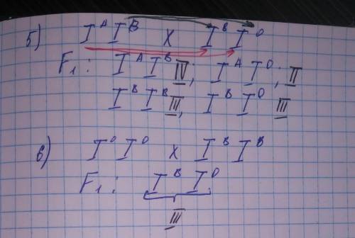 Изобразите в виде схемы любой из шести процессов наследования раз- личных групп крови:1) P - IхIII г
