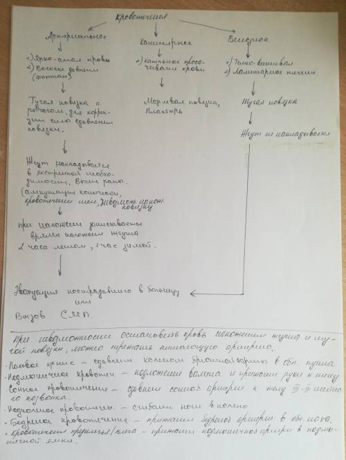 Ставлю надеюсь на вашу Биология 8 класс