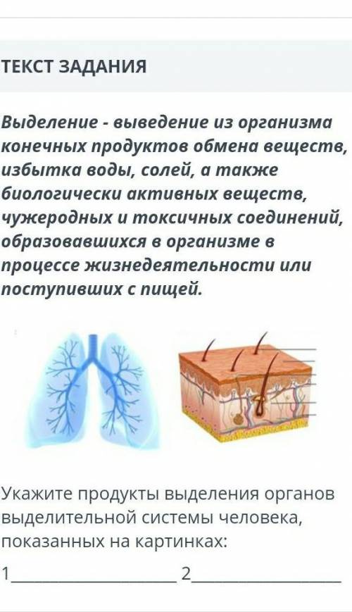 Выделение - выведение из организма конечных продуктов обмена веществ, избытка воды, солей, а также б