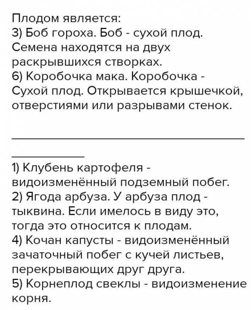 Какие из перечисленных органов не являются плодом? 1) клубень картофеля; 2) стручок гулявника; 3) бо