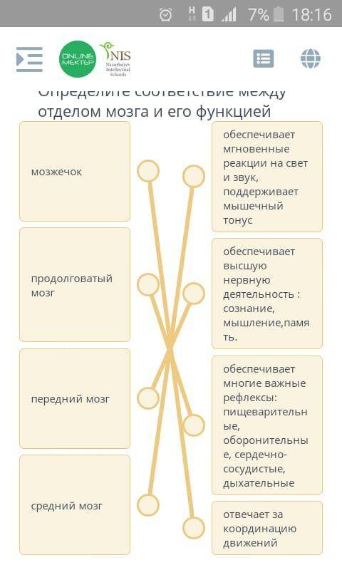 Установите соответствие между отделами головного мозга и выполняемой функцией мозжечокпродолговатый