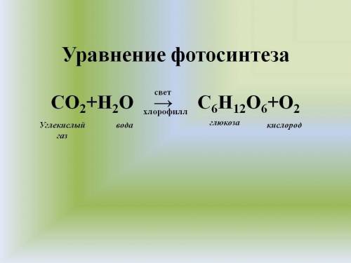 Задание 3: Напиши формулу фотосинтеза