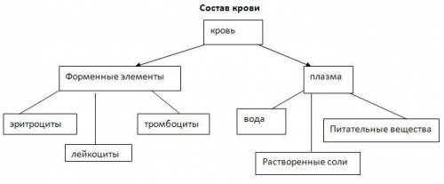 Заполните схему кровеносной системы кровь​