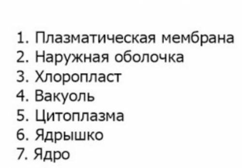 Назови обозначенные на рисунке цифрами органоиды растительной клетки у меня СОР ​