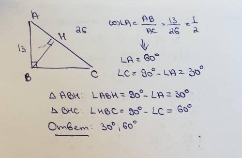 В прямоугольном треугольнике АВС B900, АВ=13 см, АС=26 см. Найдите углы, которые образует высота В