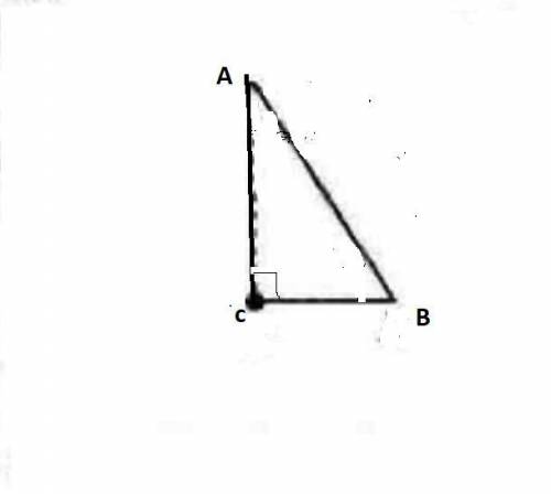 Дан треугольникАВС, в котором <С=90°, кроме того, известны его стороны: АС=12 см, АВ=20 см. Найди