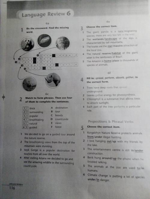 Английский язык,Excel, 8 класс ,Language review 6у кого есть? ответьте ))​