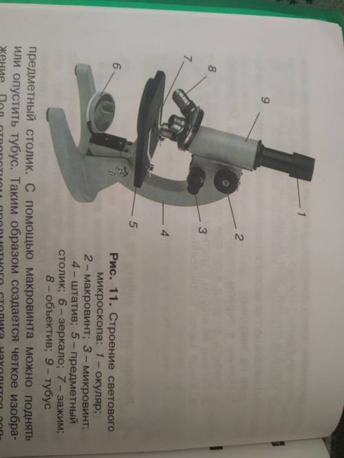 5 класс COP-1 Вариант 4. На рисунке представлен световой микроскоп. Напишите все части микроскопа.Вн