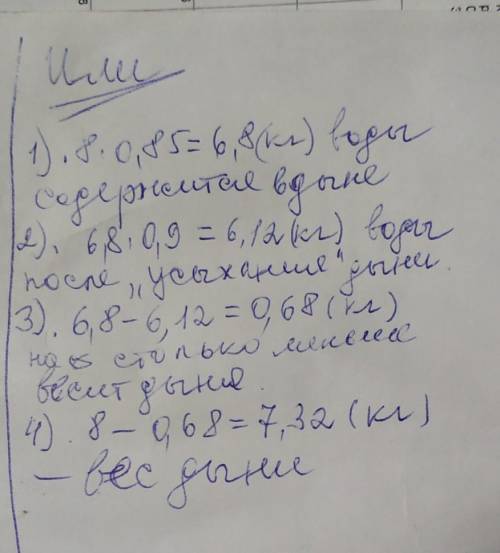 Дыня весила 8 кг и содержала 85% воды. Пролежав долгое время на прилавке, дыня усохла и содержание в