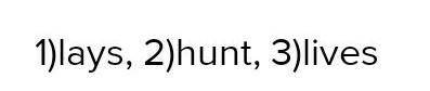 D Underline the correct word.e.g. Sandy's cat eat/eats fish.21 Sam's hen lay/lays eggs.22 Men hunt/h