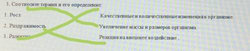 3. Соотнесите термин и его определение: 1. Рост Качественные и количественные изменения в организме.