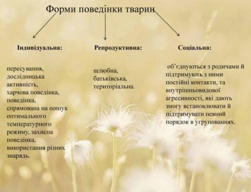 І. Завдання з вибором однієї правильної відповіді. 1. Подвійне дихання властиве:А) птахам, Б) плазун