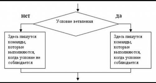 Запишите краткую и полную форму алгоритма ветвления. ​