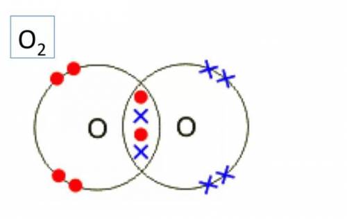 4.Составьте диаграммы Льюиса, «точек и крестов», образования молекул следующих соединений: (а) О2 (