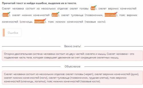 *строение скелета человека* Прочитай текст и найди ошибки, выделив их в тексте. Скелет человека сост