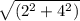 \sqrt{(2^2+4^2)}