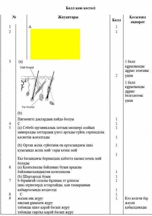 Помагите Если ответите ненужным ответом кину жалобу ​